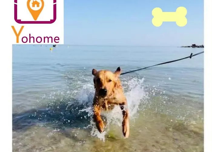 Sweet A Vallefoglia By Yohome Apartamento *